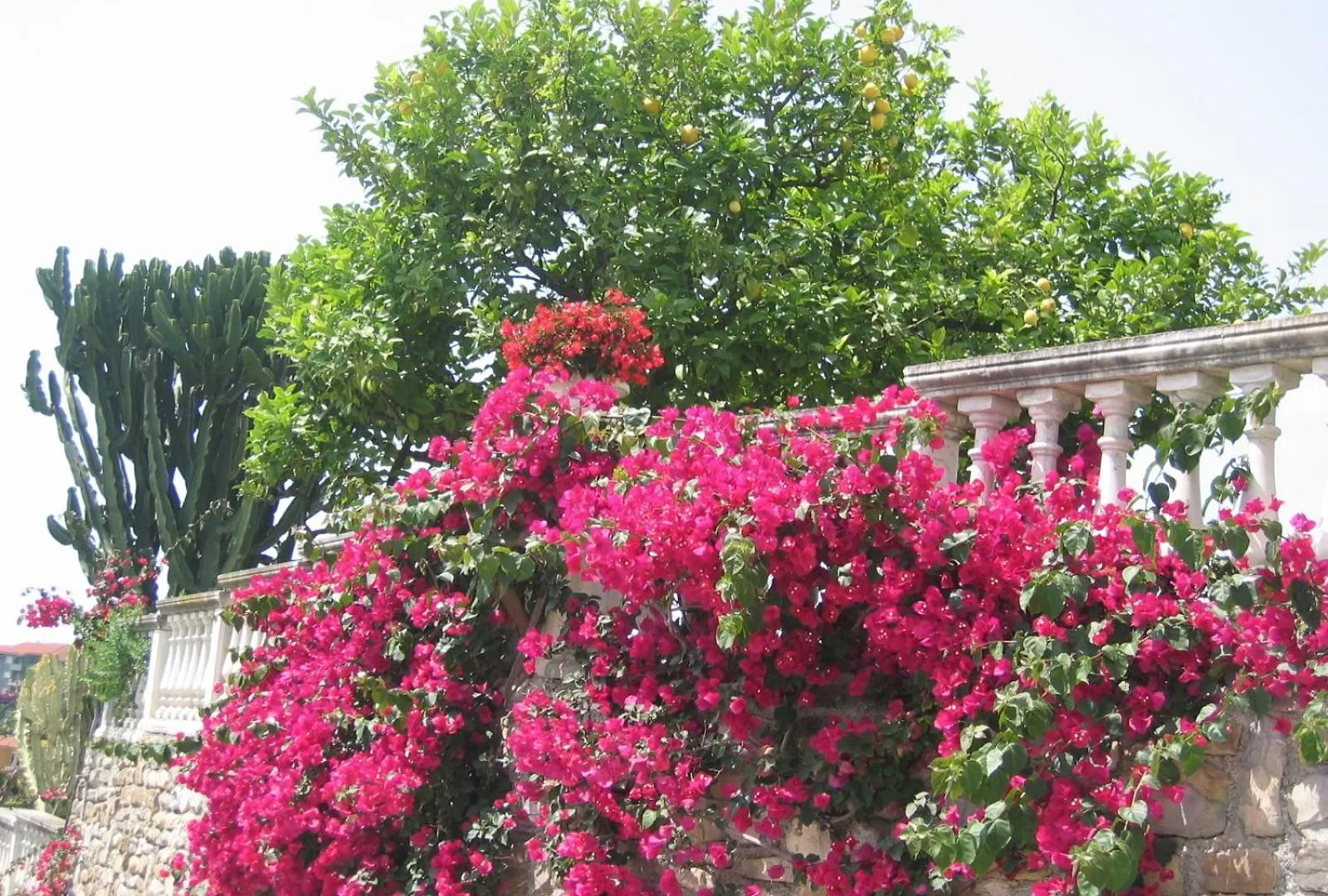 Ca Dei Conti Villa San Bartolomeo Al Mare Italy